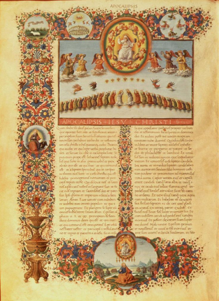 MS20